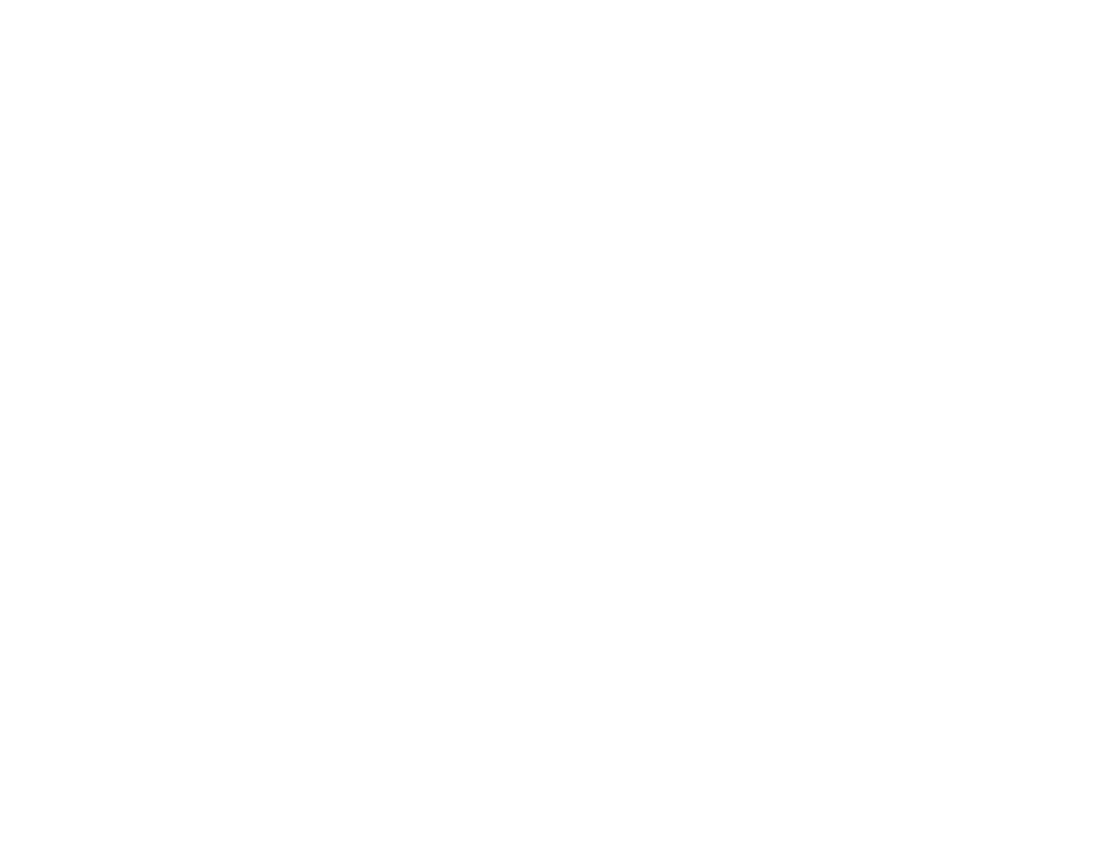 StyleNet, Logo - Nashville Website Design