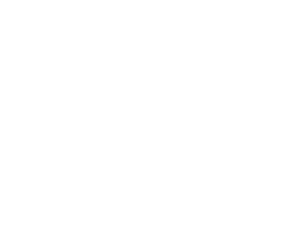 Perimeter Security Partners Logo - Nashville Digital Marketing & Web Design