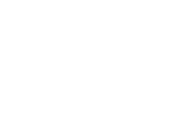 WOZ LOGO